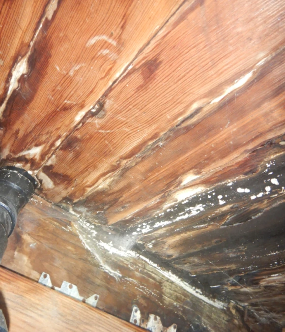 Home Sewer Scope Inspections